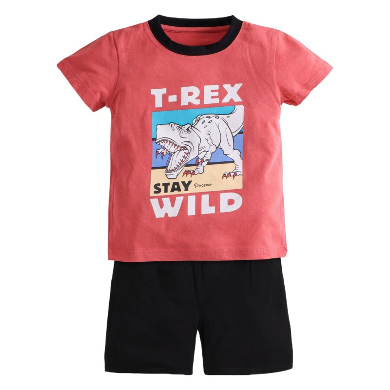 Summer children's short-sleeved suit boys cotton short two-piece suit baby cartoon t-shirt shorts factory wholesale