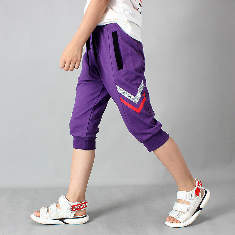 Picture of European point children's clothing summer Korean style new boys sports cropped pants large children's cotton casual pants children's pants