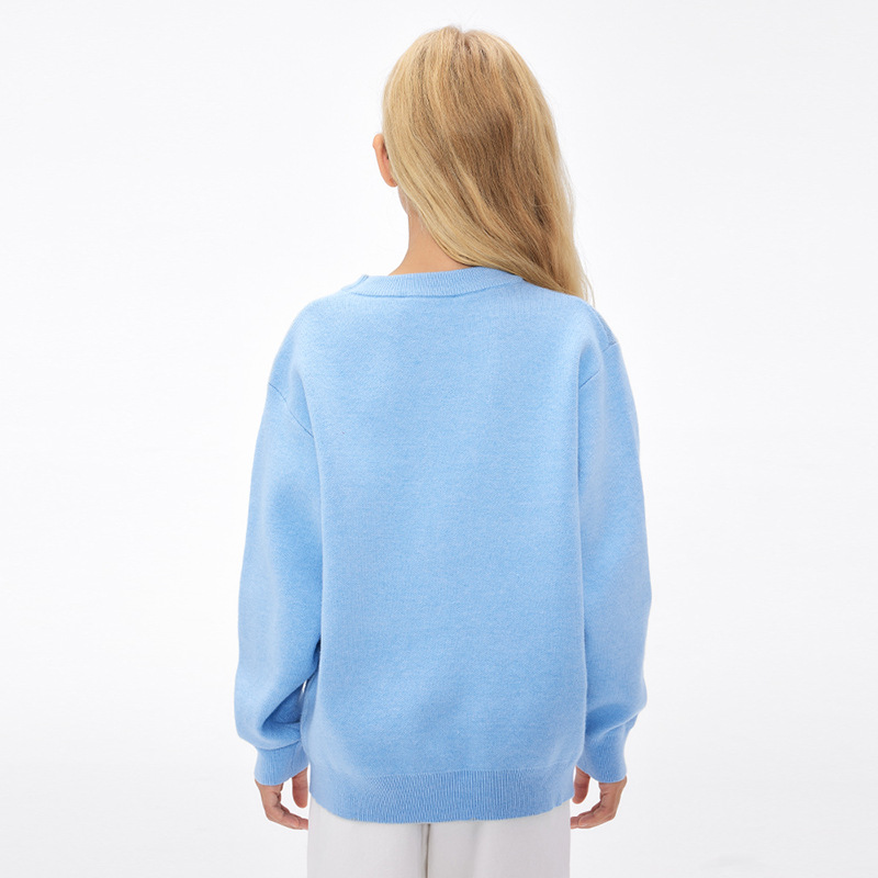 Picture of DK Children's Wear 2024 Autumn and Winter Bear Boys and Girls Crewneck Sweater Korean Casual Knitwear Top