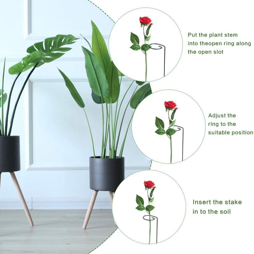 Picture of Cross-Border Plant Bracket Support Rod, Rose Flower Stand Climbing Pergola, Potted Plant Fixed Frame, Iron Art Amazon