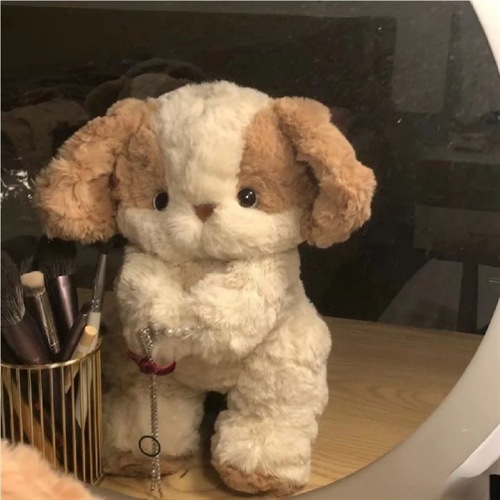 Picture of Good night puppy