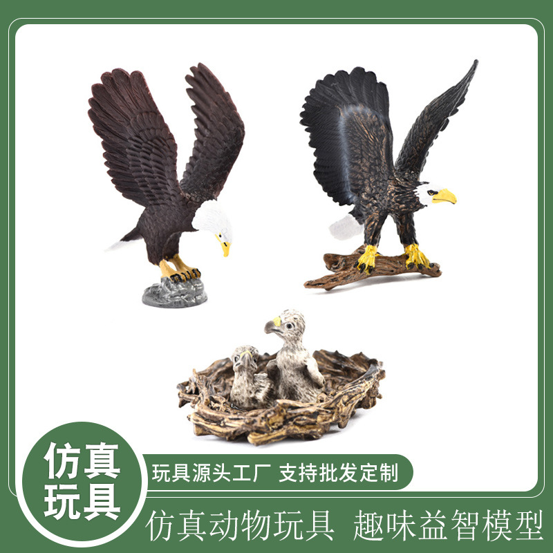 Picture of Cross-border Simulation Animal Model Toy Eagle Goshawk Bald Eagle Cub Model Ornaments Children's Educational Toys