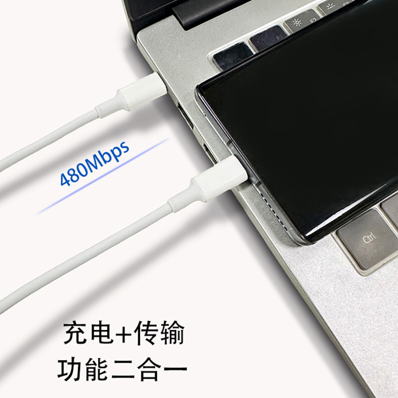 Picture of Double typec data line pd100w is suitable for Apple mobile phone tablet notebook fast charging double C charging line 1 m