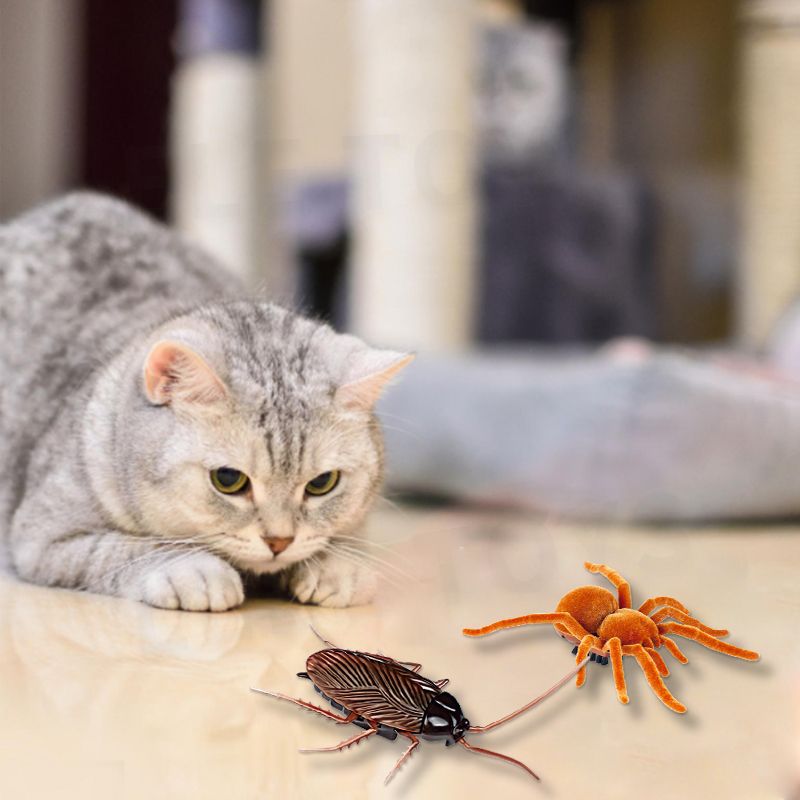 Cross-border cat trick animal electric brush black widow cockroach mouse simulation insect animal model toy