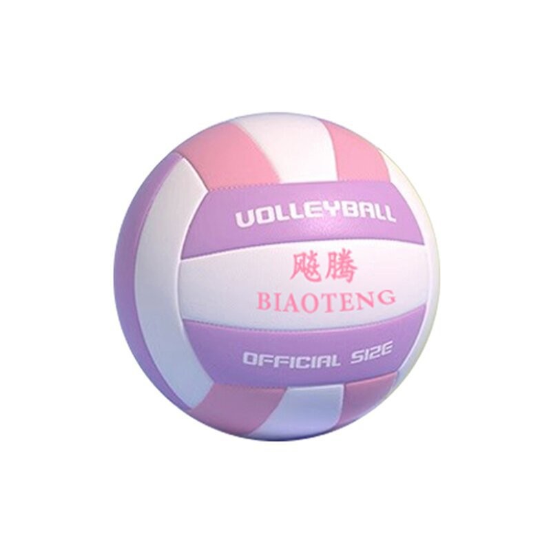 Picture of Factory direct Macaron volleyball beginners beach match ball No.5 high school entrance examination junior high school students training special ball
