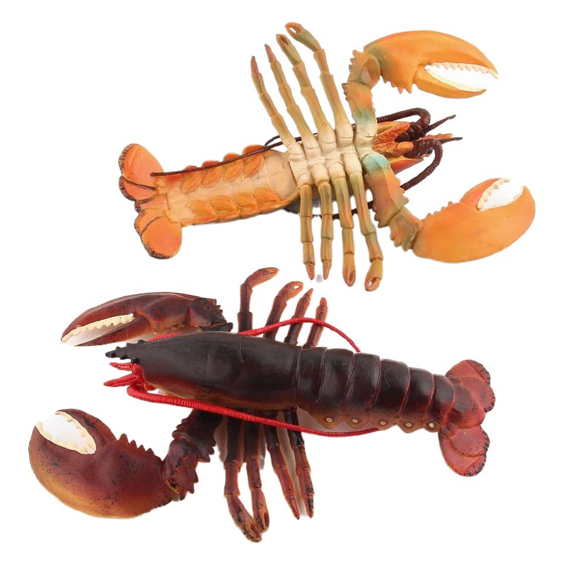 Cross-border toy marine life simulation lobster marine animal model submarine toy doll decoration plastic