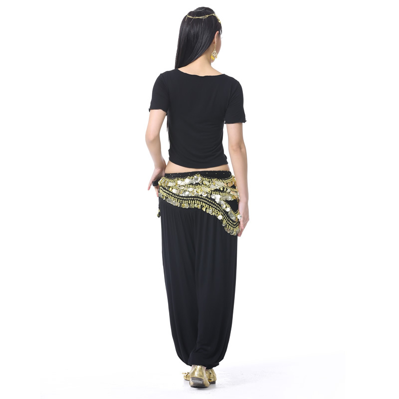 Picture of 480 currency belly dance waist chain, belly dance belt waist chain waist decoration, Egyptian waist chain