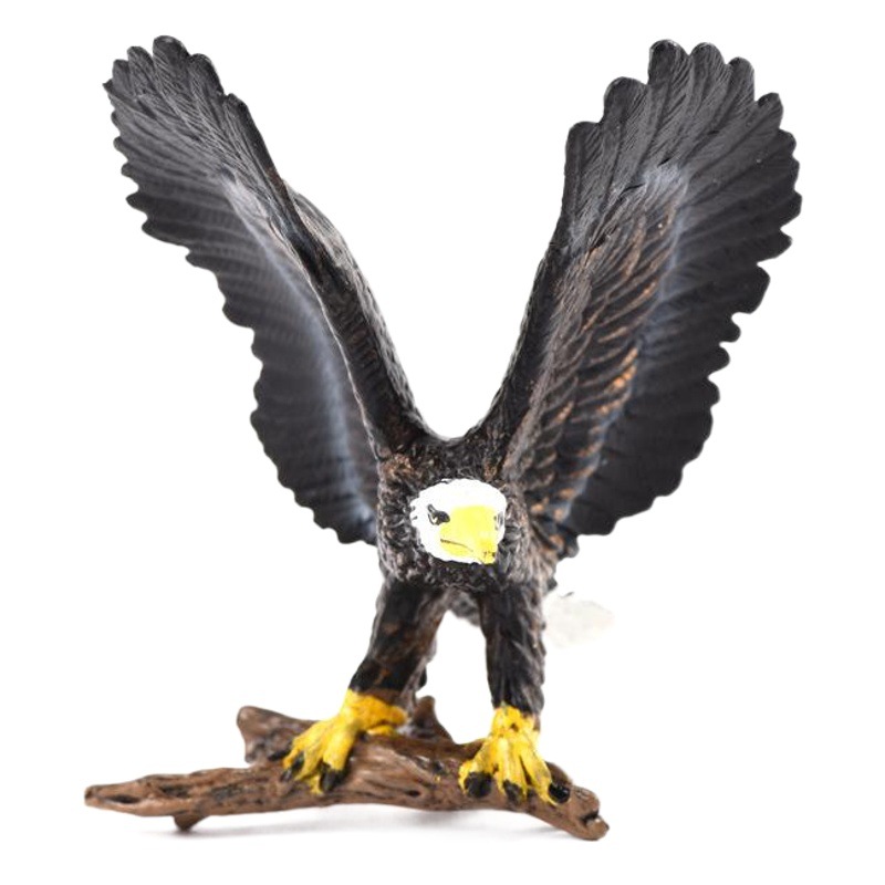 Cross-border Simulation Animal Model Toy Eagle Goshawk Bald Eagle Cub Model Ornaments Children's Educational Toys