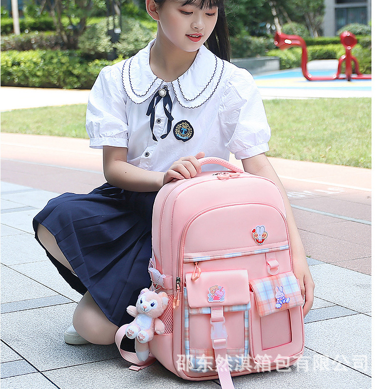 Carefully Selected 2022 New Princess Cross-Border Supply Schoolbags, Primary School Girls’ Backpacks, One-Piece Drop Shipping, Cute and Burden-Reducing