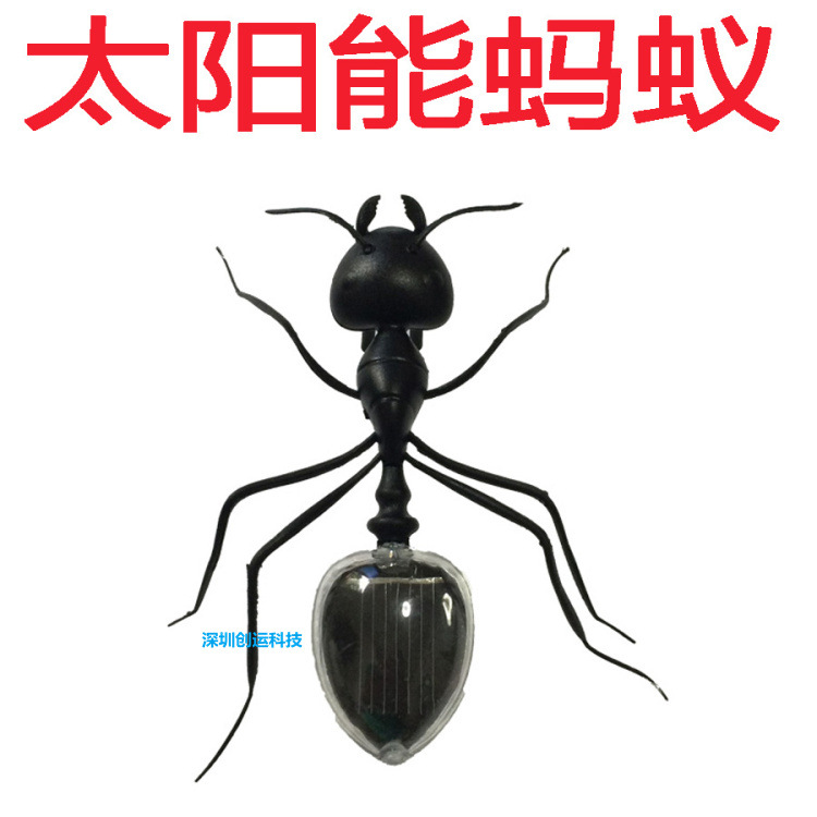 Picture of Solar Toys, Cars, Grasshopper, Cockroaches, Spiders, Poop Hells, Creative Gifts, Fun Toys, Science