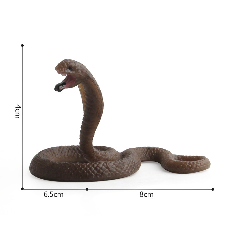 Picture of Solid Simulation Insect Animal Model Scorpion Unicorn Snake Model Children's Cognitive Ornament Toy Amazon