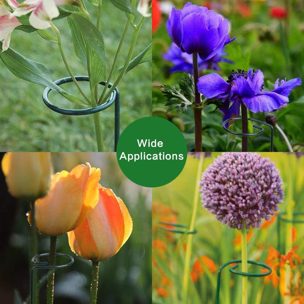 Picture of Cross-Border Plant Bracket Support Rod, Rose Flower Stand Climbing Pergola, Potted Plant Fixed Frame, Iron Art Amazon