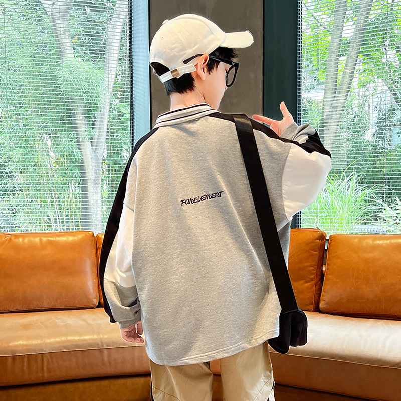 Picture of Children's Wear Boy's POLO Collar Sweat Spring and Autumn 2022 New Thin Children's Top Embroidered Long Sleeve Handsome Fashionable