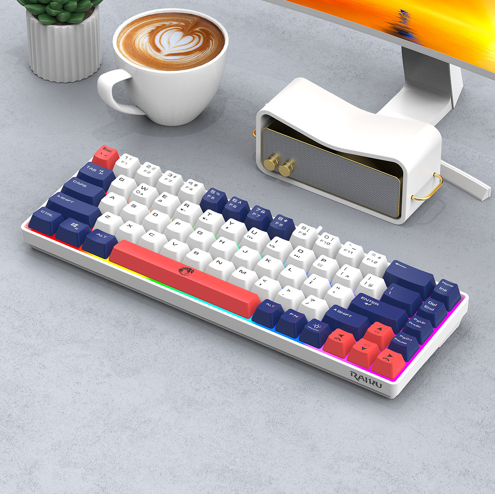 Cross-Border Lei Kui K68 Dual Color Matching 68-Key Gaming Competitive Office Notebook E-Sports Wired Gaming Wired Keyboard