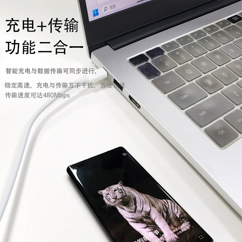 Picture of Double typec data line pd100w is suitable for Apple mobile phone tablet notebook fast charging double C charging line 1 m