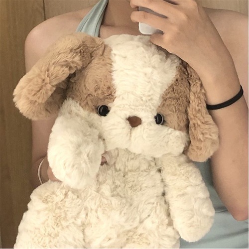 Picture of Good night puppy
