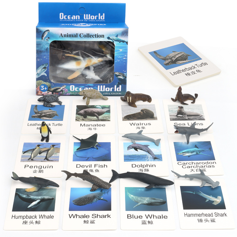 Picture of Popular science toys sand table scene dinosaur marine animal matching knowledge learning card science education cognitive model teaching aids