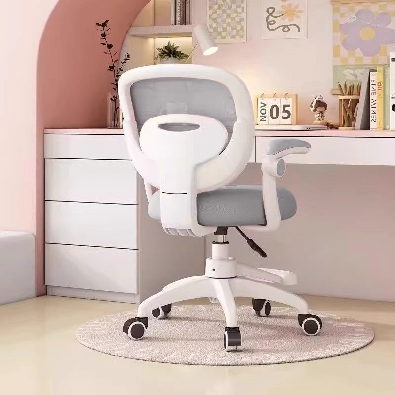 Special desk, liftable posture, student chair, children's study chair, bedroom, junior high school, primary and secondary school, homework writing