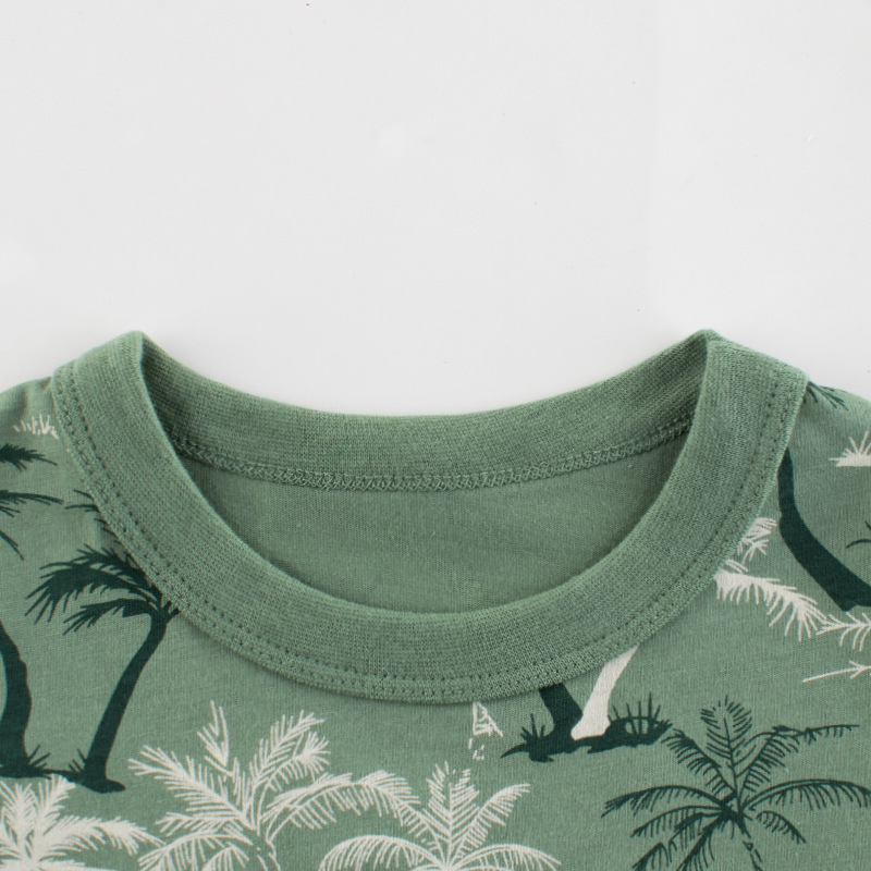 Picture of Korean Style Kidsren's Clothing Wholesale 2025 Summer New Boys' Short-Sleeved T-Shirts Kidsren's Clothing Baby Tops Dropshipping