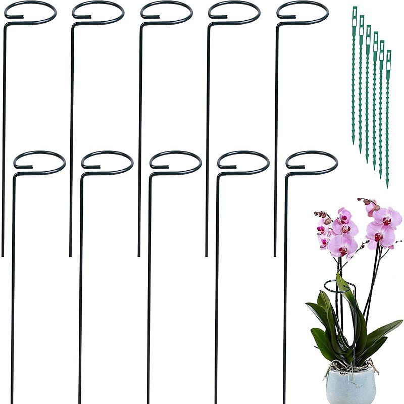 Cross-Border Plant Bracket Support Rod, Rose Flower Stand Climbing Pergola, Potted Plant Fixed Frame, Iron Art Amazon