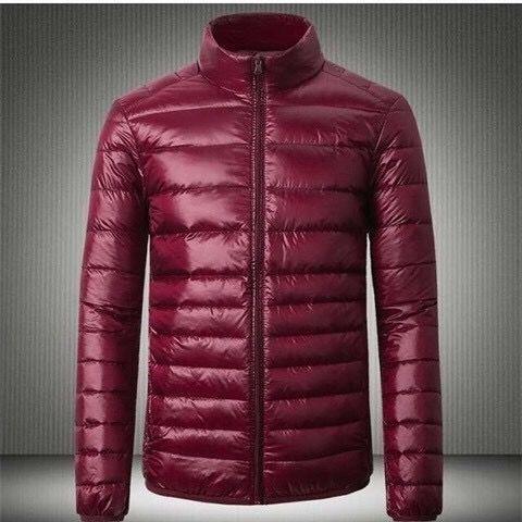 Picture of New Light Down Cotton-padded Jacket Men's Short Vertical Collar Jacket Young Men's Thin Down Cotton-padded Jacket