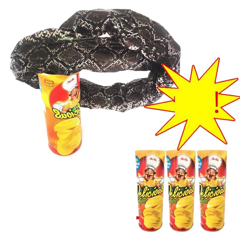Potato chips snake bouncing snake TikTok bouncing whole person potato chips snake scared whole toy fool student gift