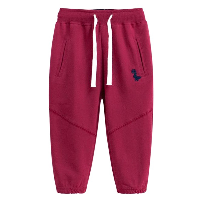 2024 children's clothing autumn new boys sports pants children's sports pants dinosaur baby pants a generation of hair
