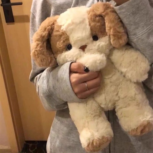 Picture of Good night puppy