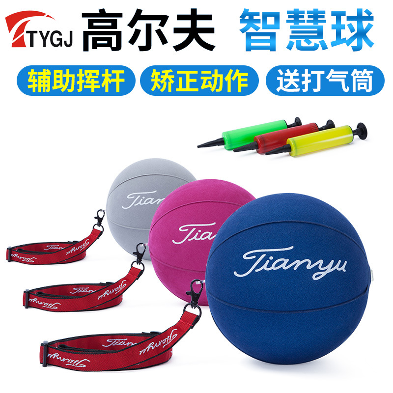 Picture of TTYGJ golf smart ball swing exerciser arm corrector auxiliary correction trainer