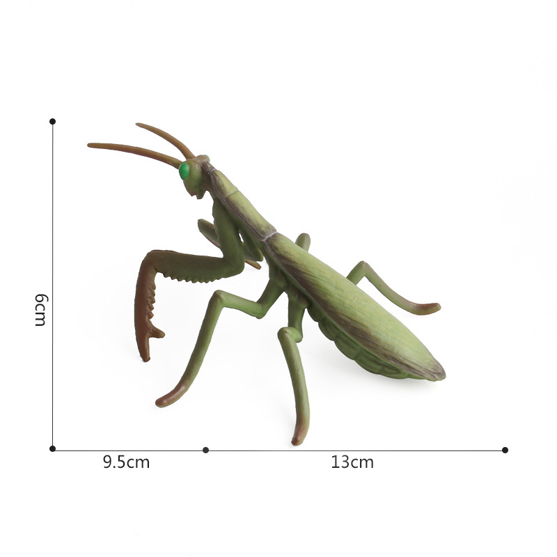 Picture of Solid Simulation Insect Animal Model Scorpion Unicorn Snake Model Children's Cognitive Ornament Toy Amazon