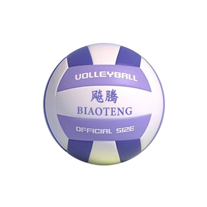Picture of Factory direct Macaron volleyball beginners beach match ball No.5 high school entrance examination junior high school students training special ball