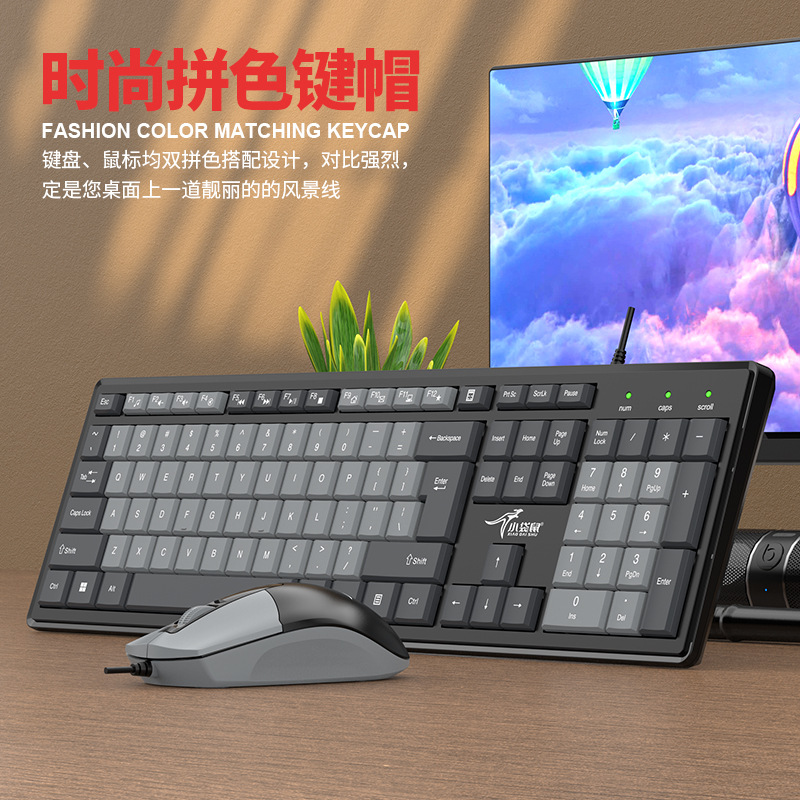 Picture of Small kangaroo DS-2116 double color USB office business fashion keyboard mouse suit notebook universal