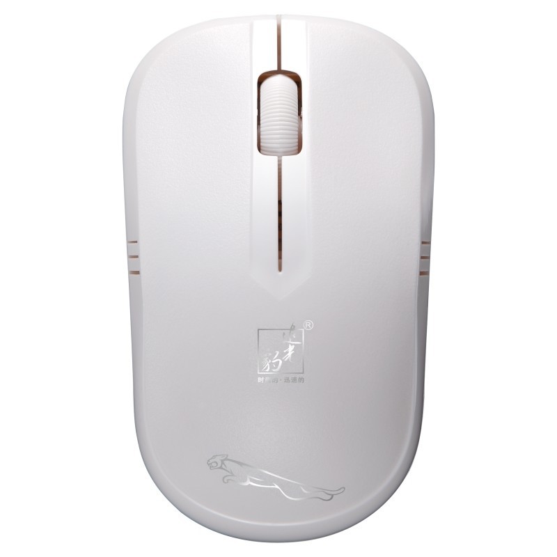 Picture of Chasing Light Leopard 101B Wireless Mouse 2.4g Laptop Desktop Computer Home Office Game Power Saving
