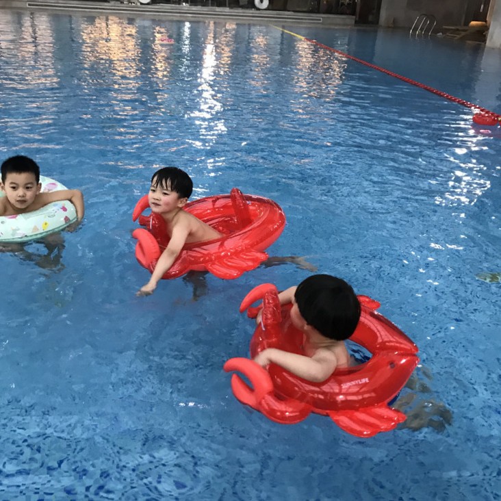 Picture of 1 piece generation hair White Swan Flamingo seat inflatable swimming buoy children life buoy double air nozzle Mount watermelon Pang