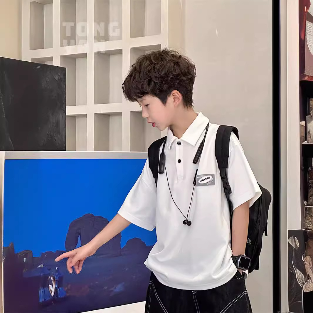 Picture of Children's Wear Boys Short-sleeved T-shirt Polo Shirt Summer 2024 New Summer Mid-large Children's Summer Pure Cotton Top Trendy