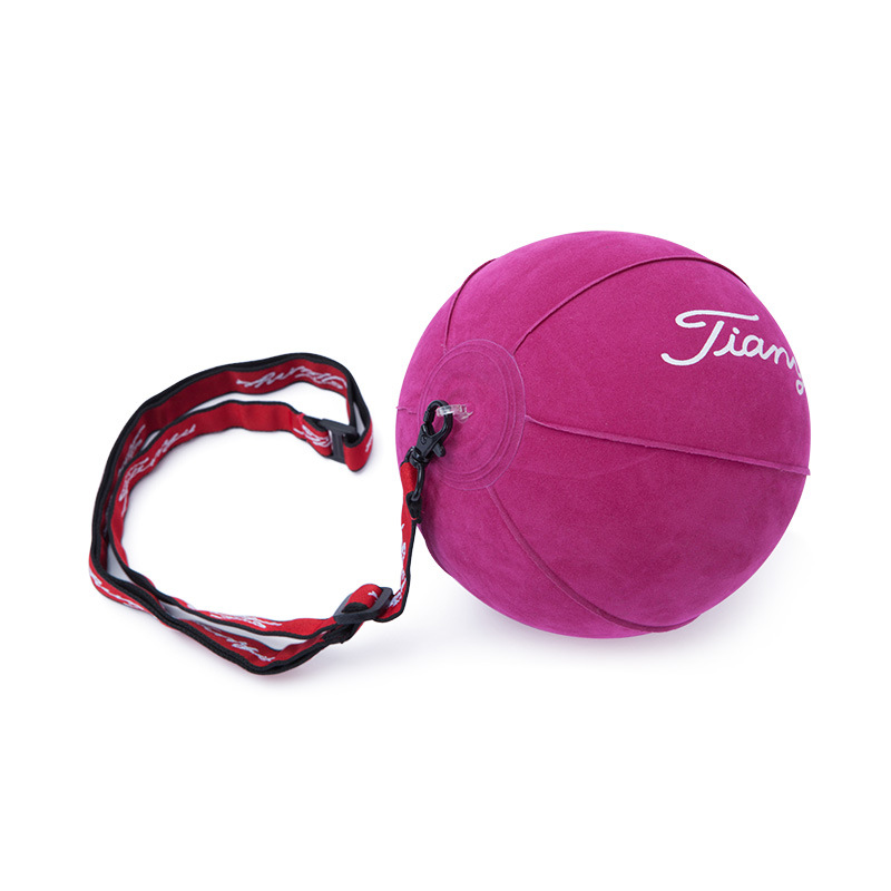 Picture of TTYGJ golf smart ball swing exerciser arm corrector auxiliary correction trainer