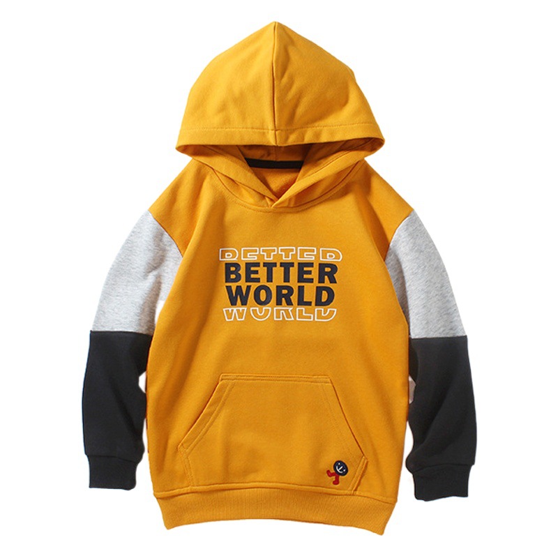 Spring Korean version of the new boys' hooded sweater for large children thick warm terry jacket children's sweater wholesale