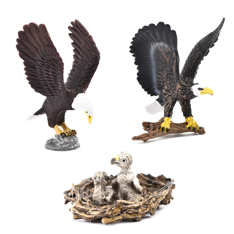 Picture of Cross-border Simulation Animal Model Toy Eagle Goshawk Bald Eagle Cub Model Ornaments Children's Educational Toys