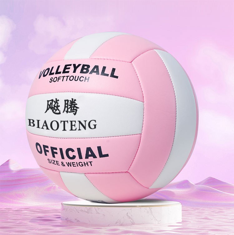 Picture of Factory direct Macaron volleyball beginners beach match ball No.5 high school entrance examination junior high school students training special ball