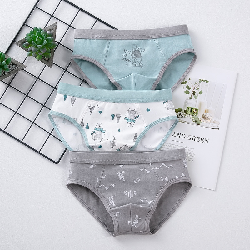 Picture of Children's underwear boys cotton 50 boxers boys boxer shorts cartoon medium and large children's Briefs boys