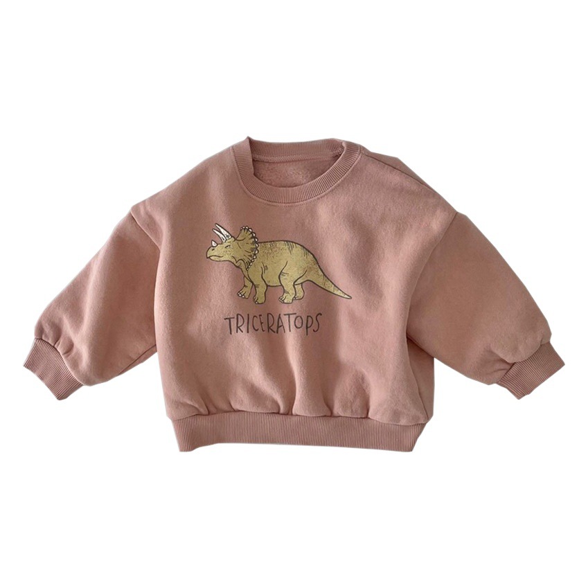 Ins K-Style of Men's and Women's Baby Winter Clothing New Tops Kidsren's Korean Cute Dinosaur Fleece Soft Pullover Sweatshirt