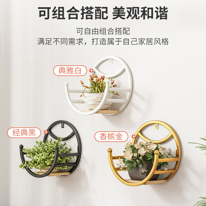 Picture of Wall-mounted Flower Rack for Living Room Balcony Ironwork Punch-free Green Rose Fleshy Flower Pot Plant Flower Shelf
