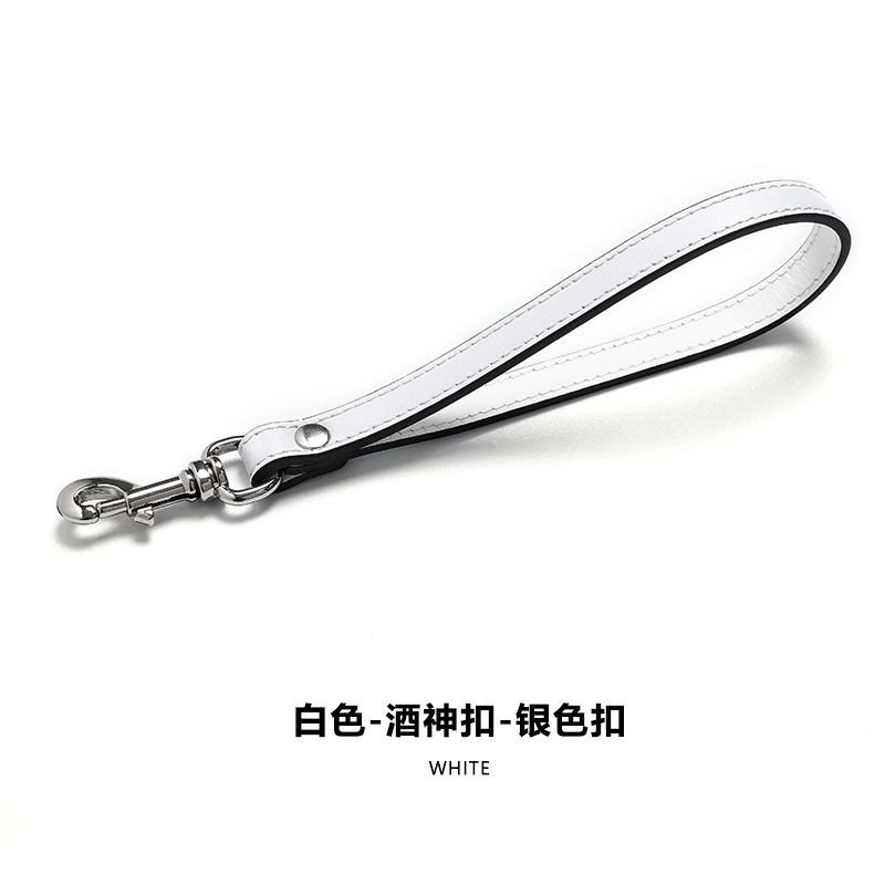 Picture of Women's Bag Accessories Single Buckle Wallet Lanyard Handbag with B- 45 Plain Cowhide Handbag with Bag Replacement Strap